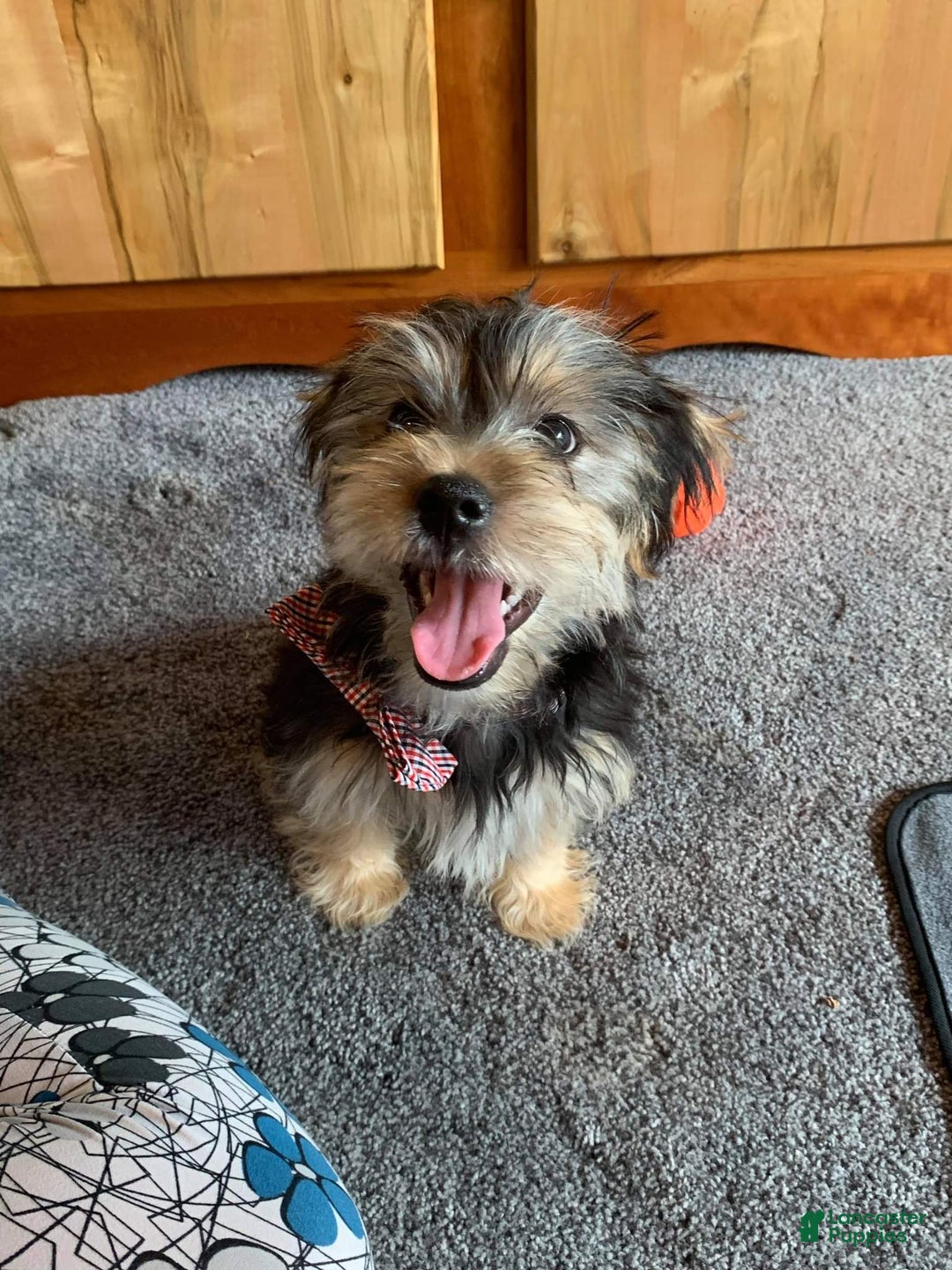 Gallery Image {{count}}