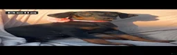 Doberman Pinscher dogs for sale: Bella WEEKEND SPECIAL $250 OFF! - Ad 8