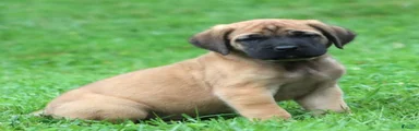 Big Ben