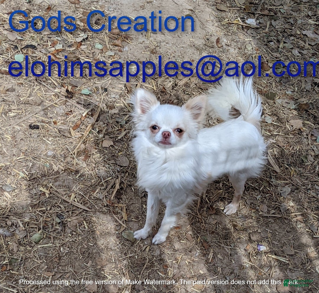 Gallery Image {{count}}