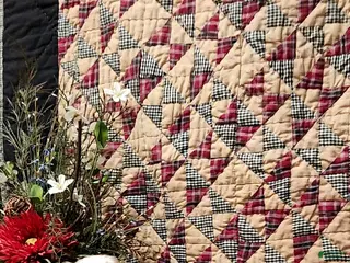 Cavalier King Charles Spaniel dogs Max - Ad 24