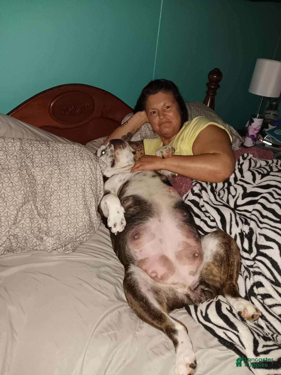 Gallery Image {{count}}