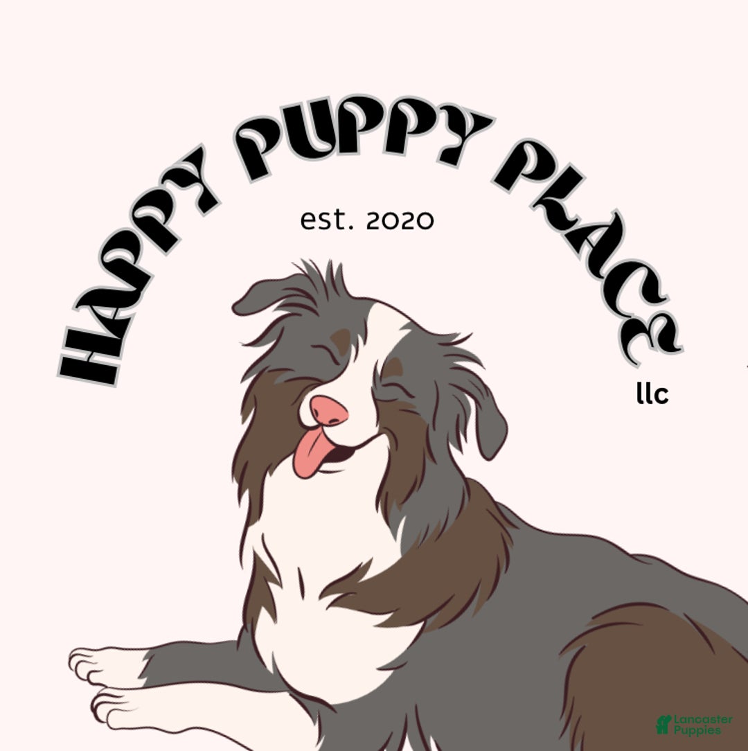 Happy Puppy LLC