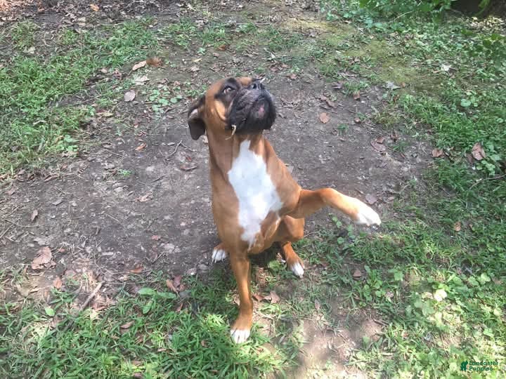 Kiki