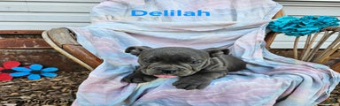 Delilah