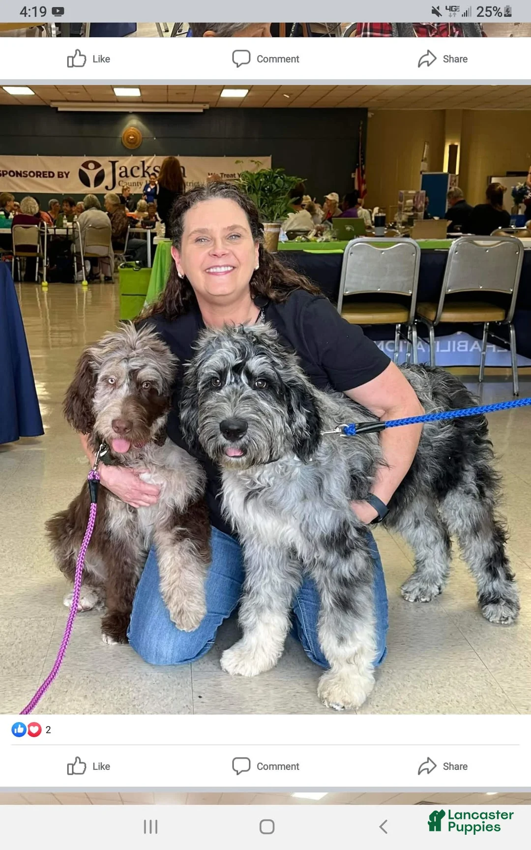 Gallery Image {{count}}