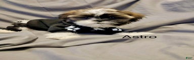 Astro 