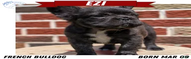 Ezi
