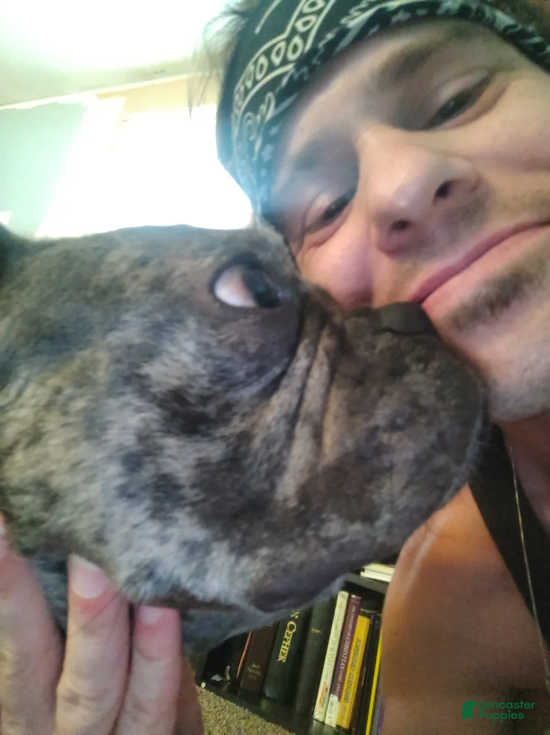 Gallery Image {{count}}