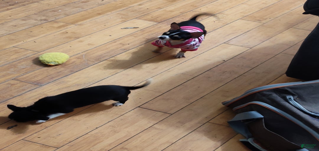 Gallery Image {{count}}