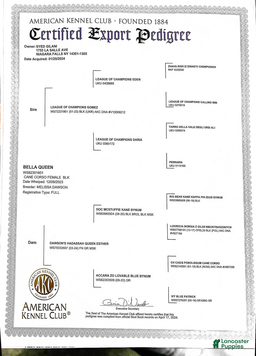 Kennel Akc Dna Department Panther For Sale In Niagara Falls