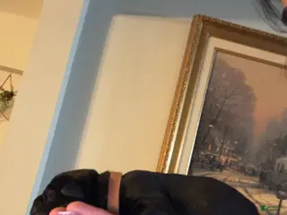 Cane Corso dogs brown collar - Ad 23