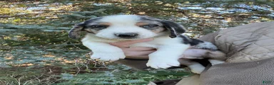 Male #1