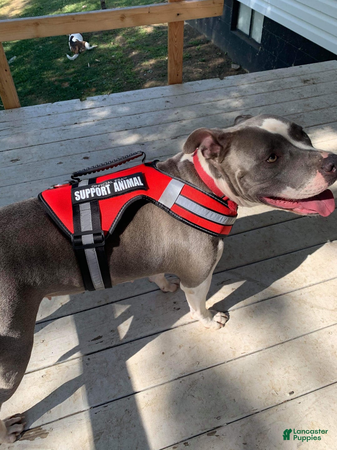 Gallery Image {{count}}