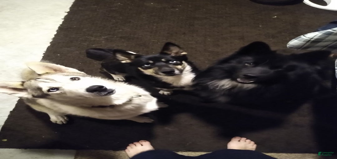 Gallery Image {{count}}