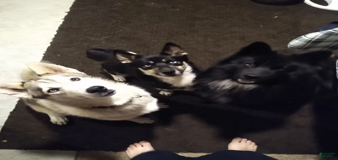 Gallery Image {{count}}