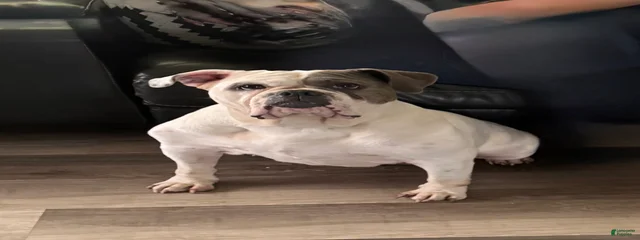 Matilda