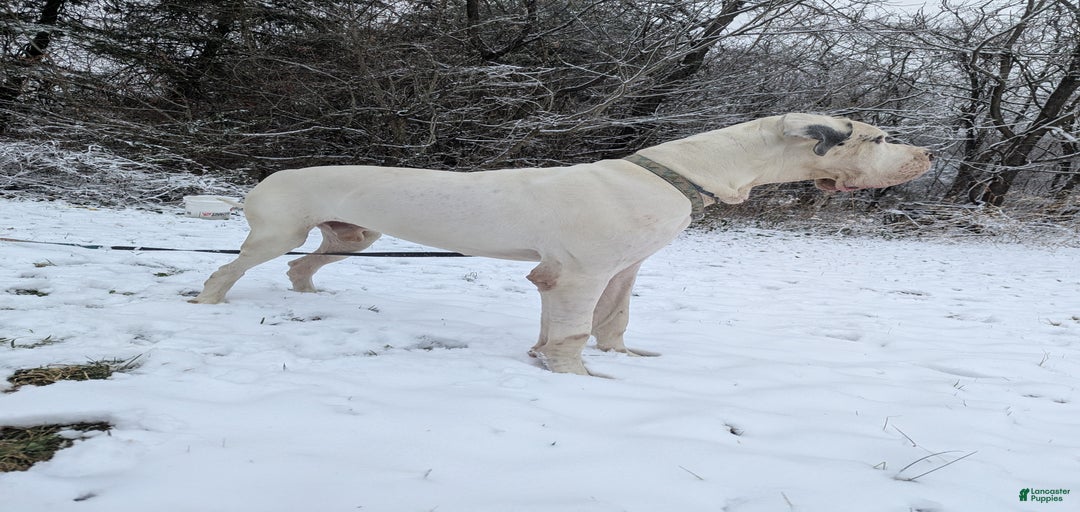 Gallery Image {{count}}