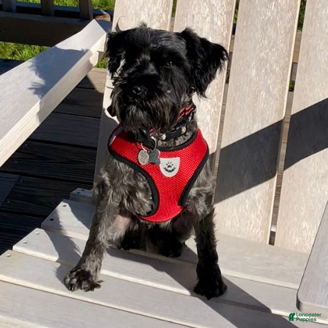 Gallery Image {{count}}