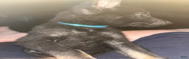 Blue