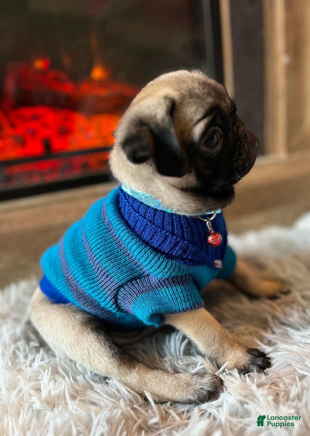 Gallery Image {{count}}