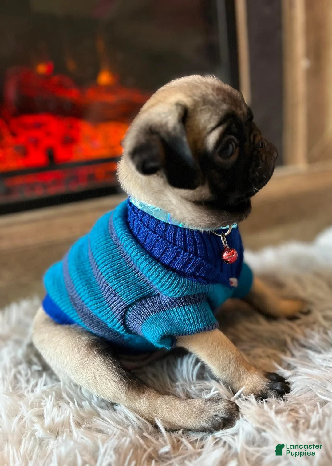 Gallery Image {{count}}