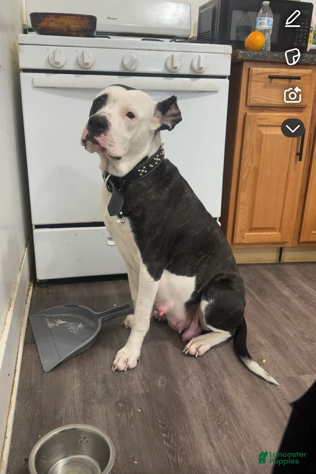 Gallery Image {{count}}