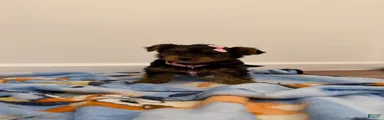Lala