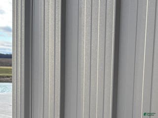 Mixed Breed dogs for sale: Mixed Breed Puppy 6 - Ad 2