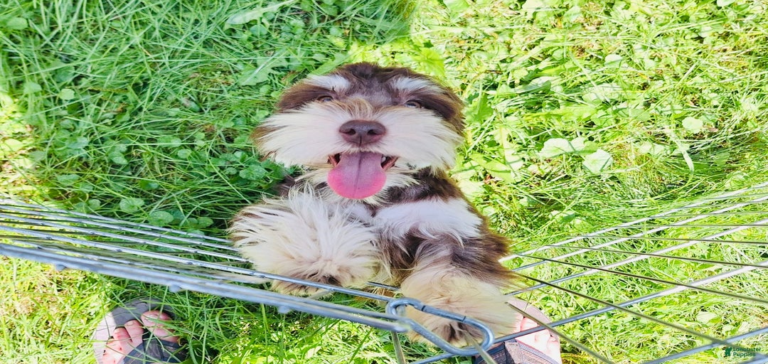 Gallery Image {{count}}