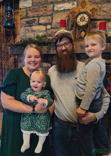 Gallery Image {{count}}