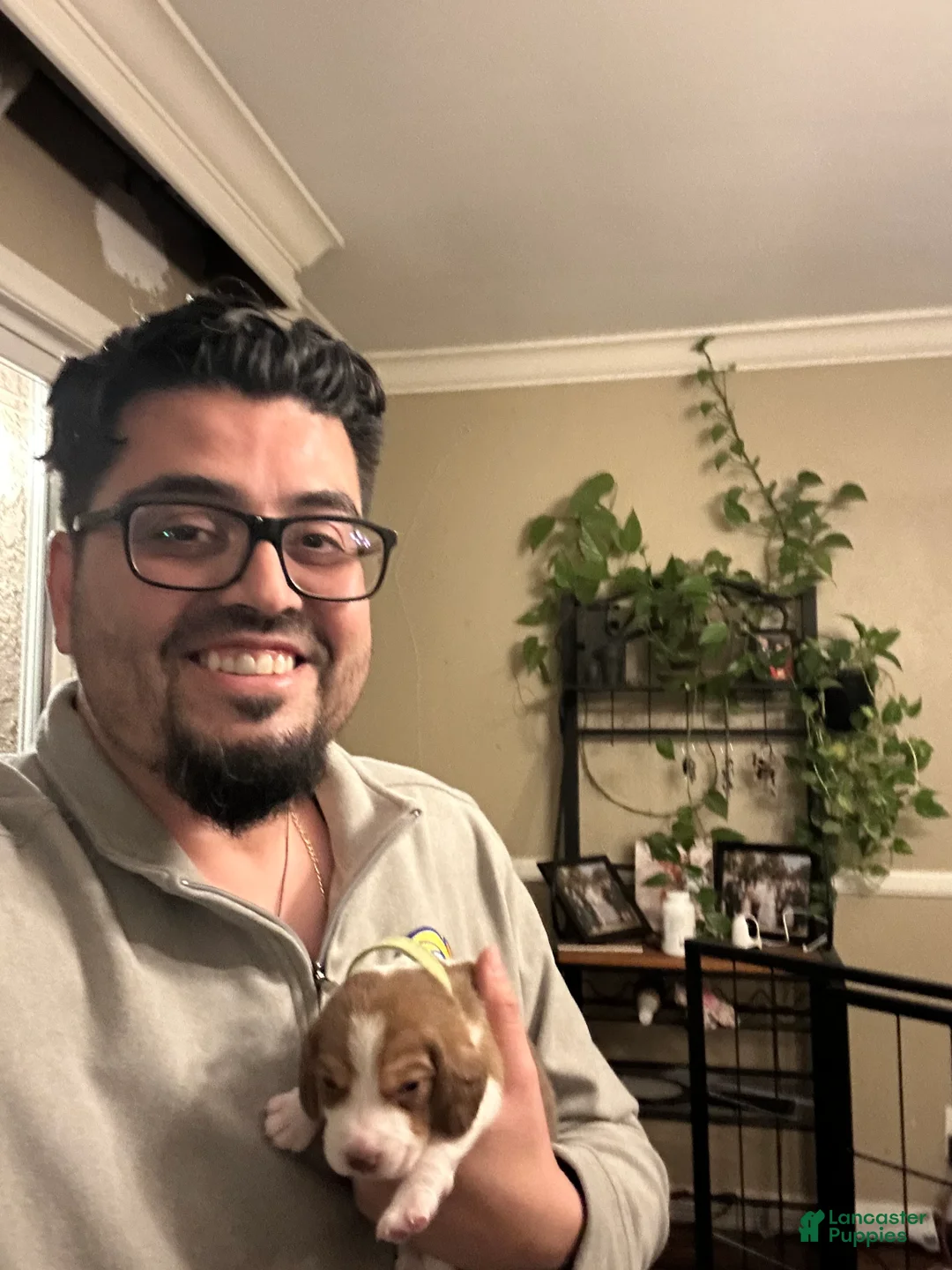 Gallery Image {{count}}