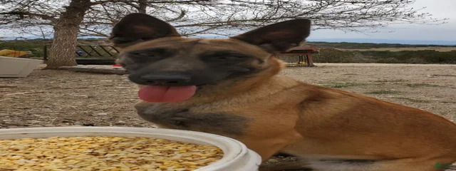 Dam