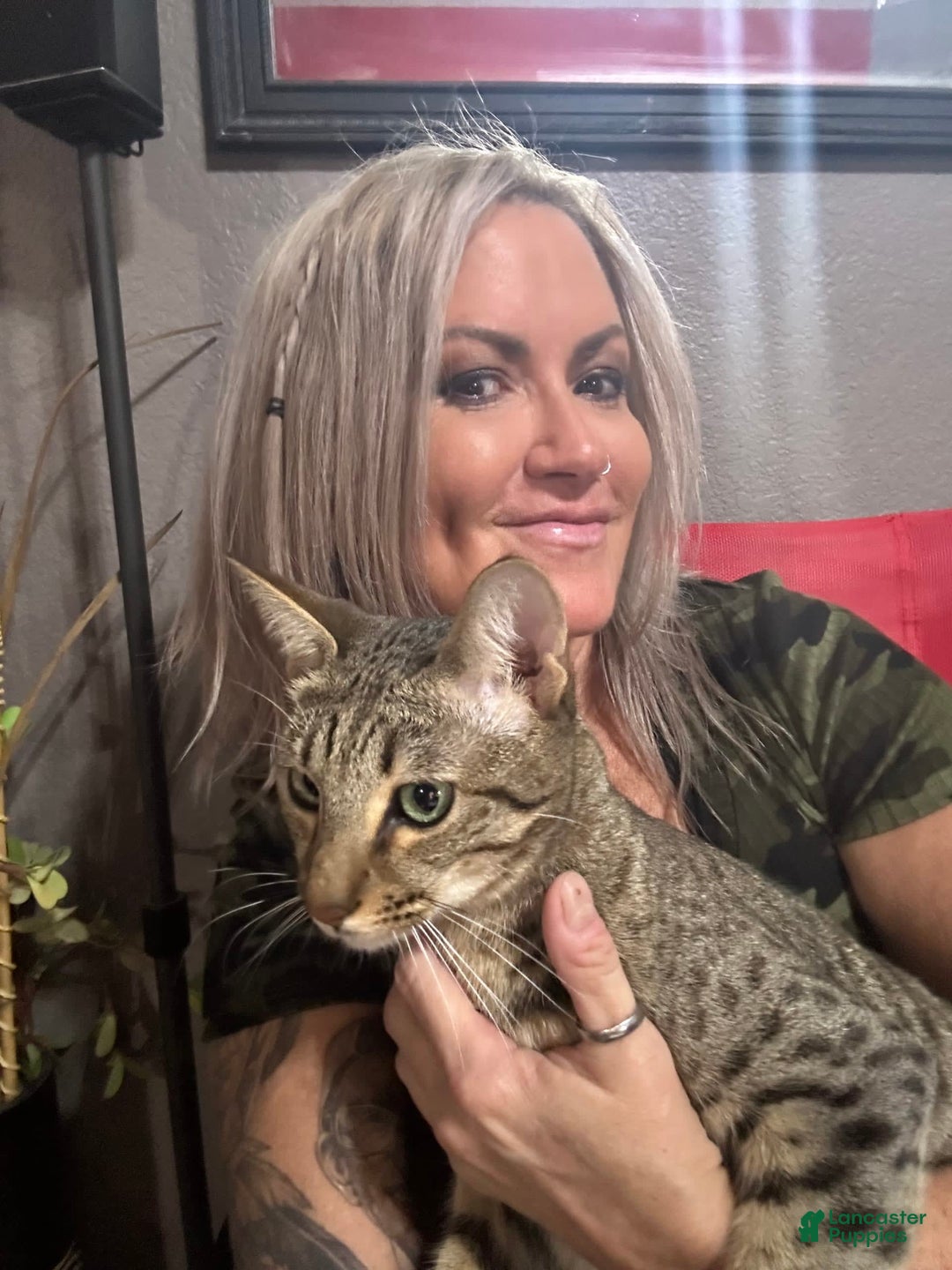 Gallery Image {{count}}