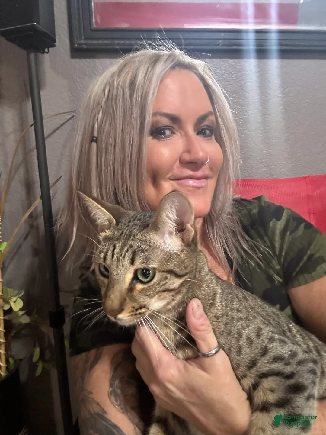 Gallery Image {{count}}