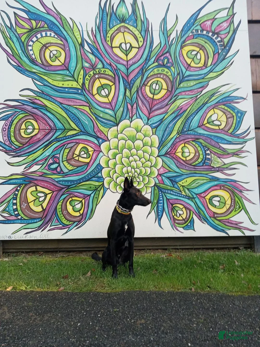 Gallery Image {{count}}