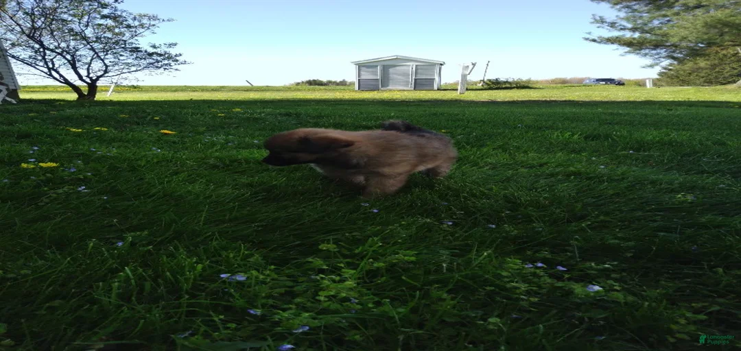 Gallery Image {{count}}