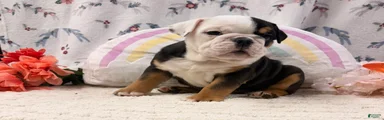 Betty