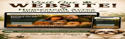 Yochon dogs for sale: Yochon 2 - Ad 3