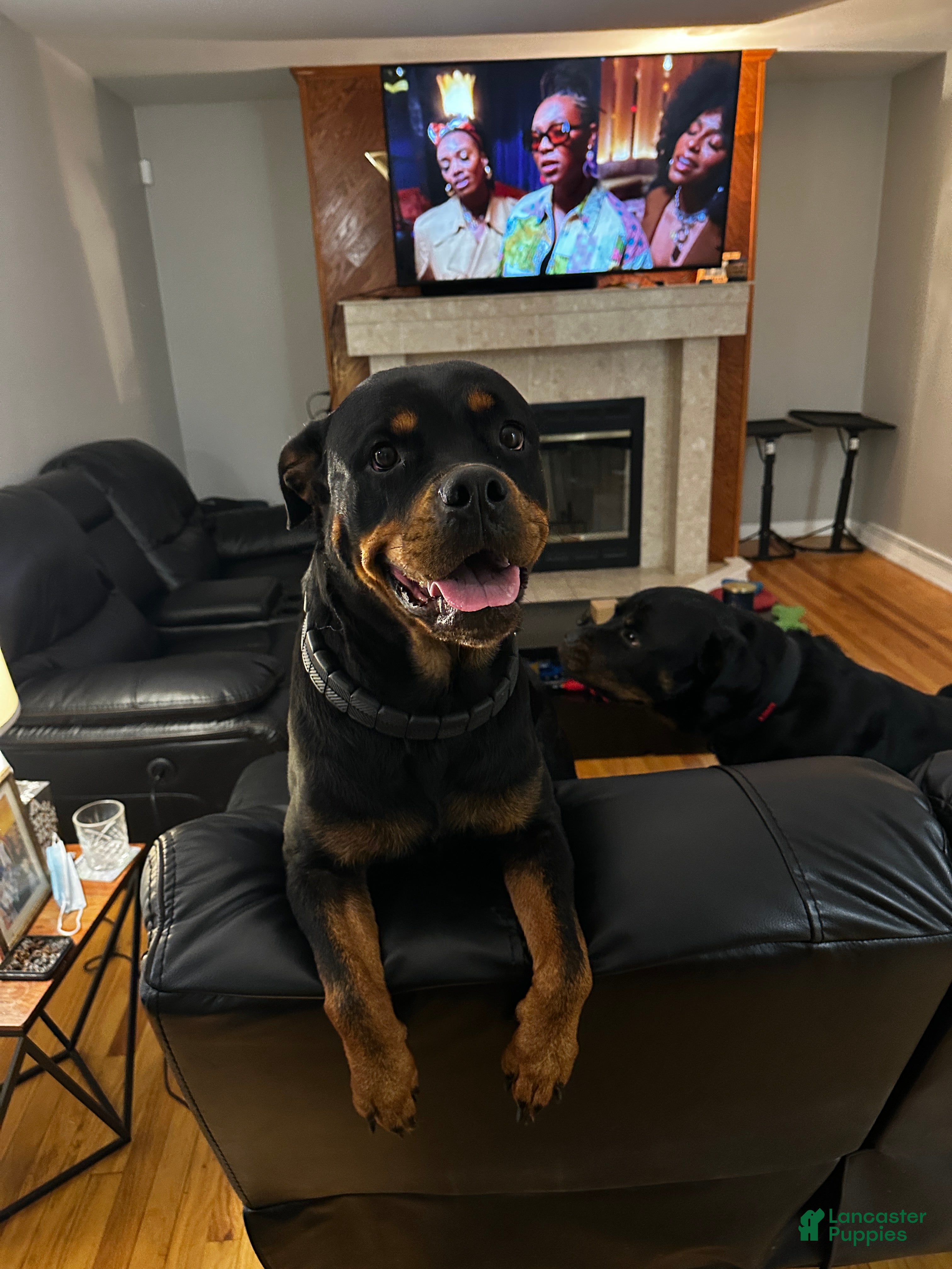 Nyla