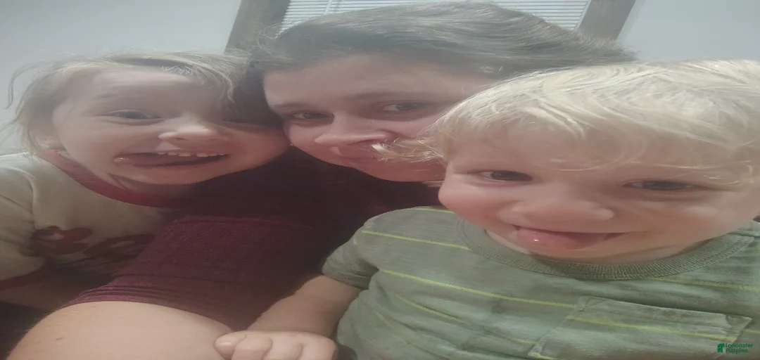 Gallery Image {{count}}