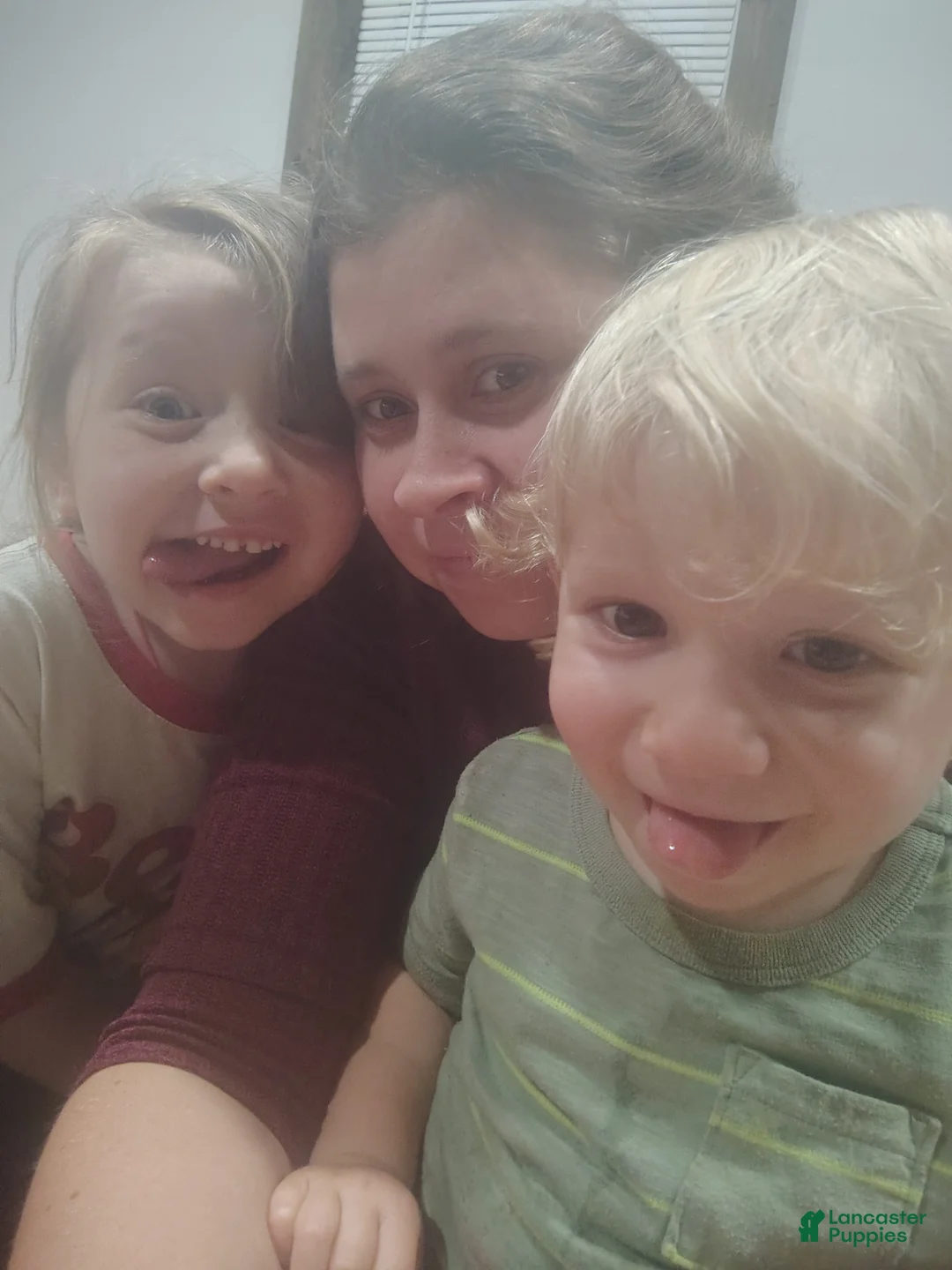 Gallery Image {{count}}