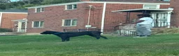 Cane Corso dogs for sale: Corso Runt(Orange collar) - Ad 4