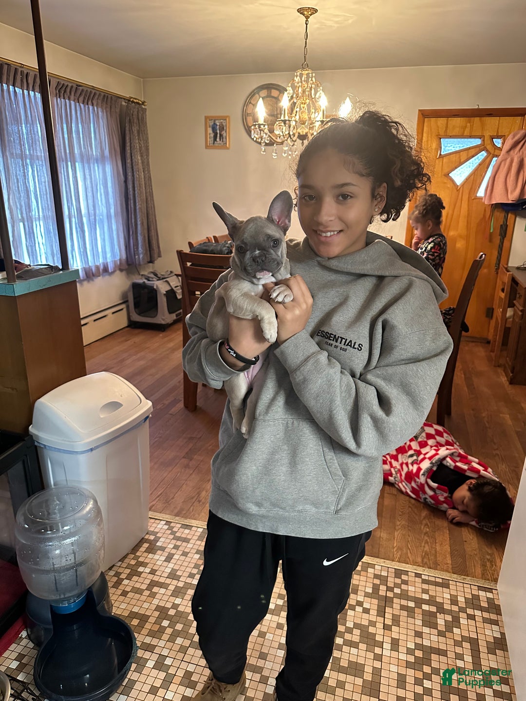 French Bulldog dogs for sale: Princess - Ad 5