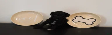 Black Abstract Male