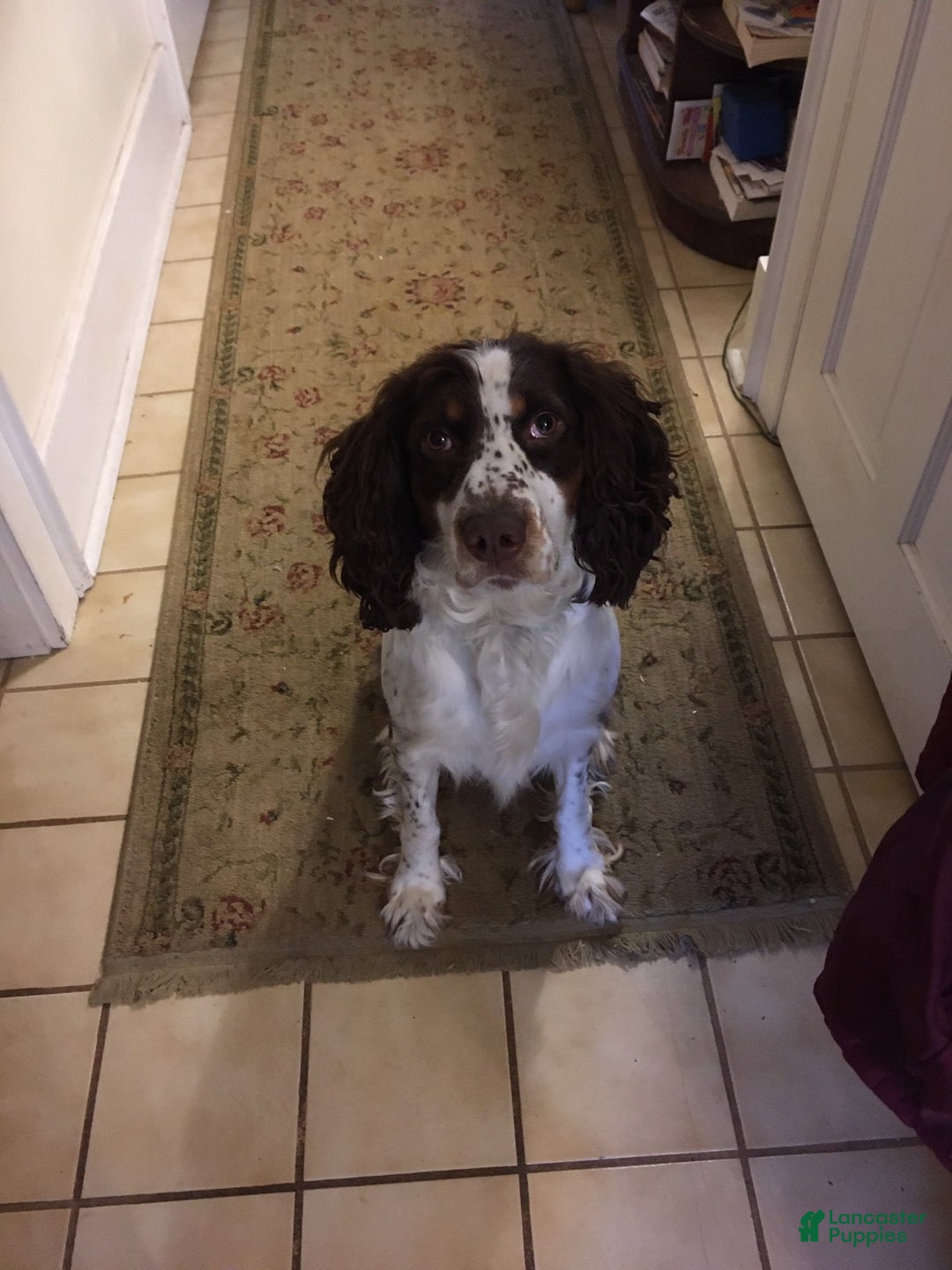 Gallery Image {{count}}