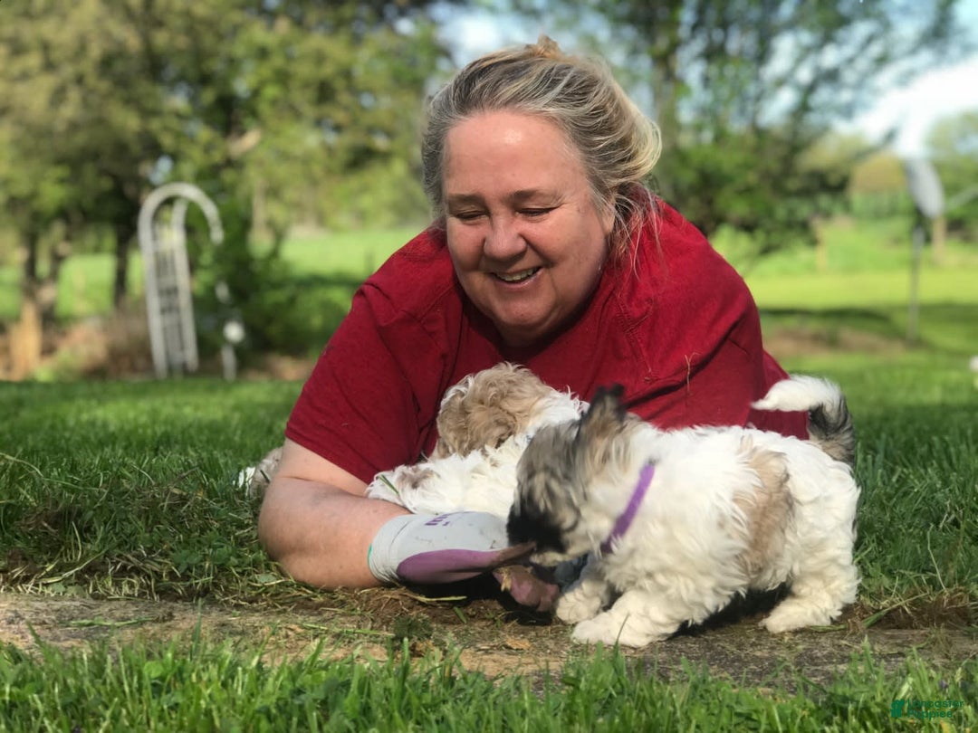 Gallery Image {{count}}