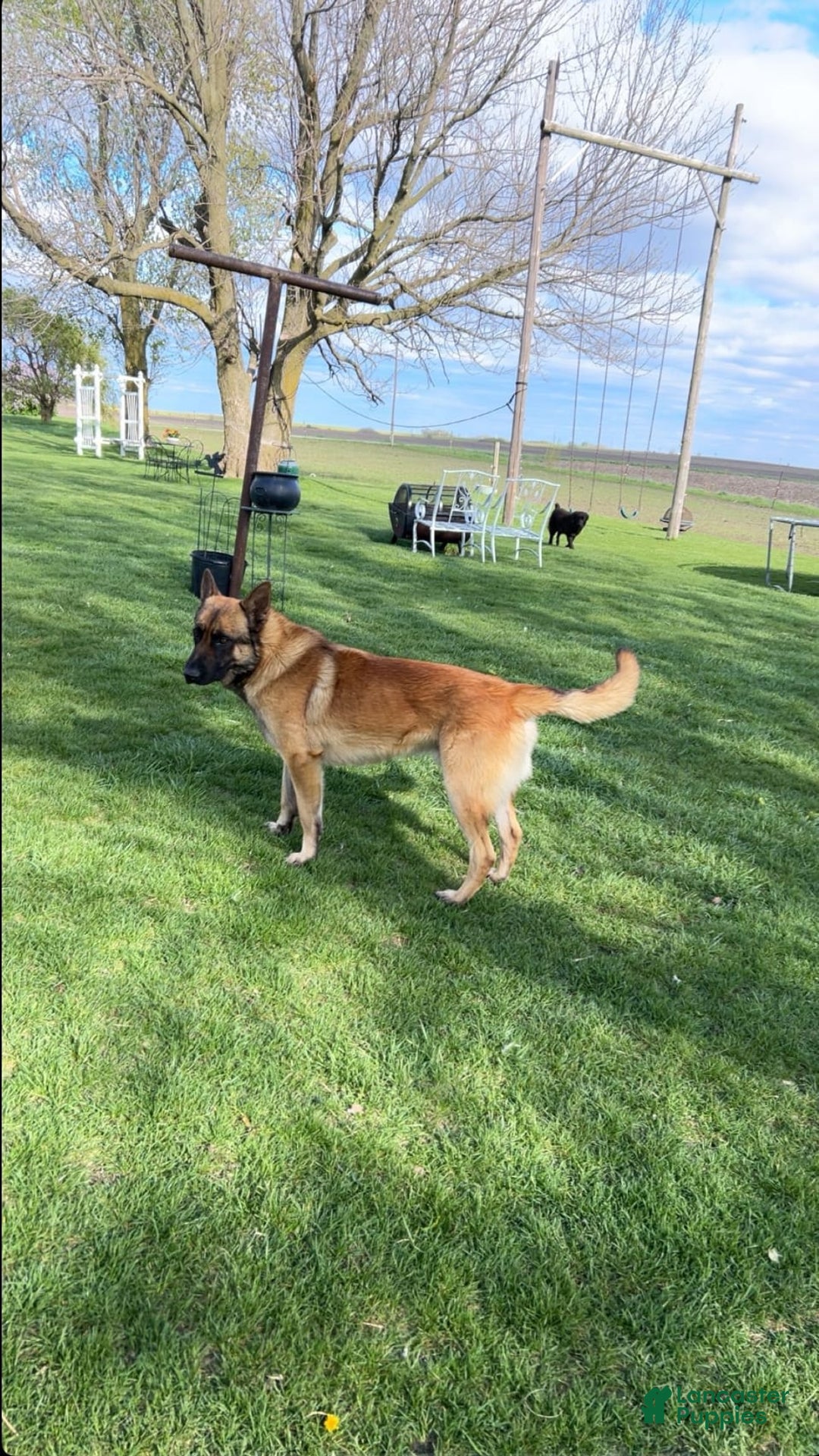 Gallery Image {{count}}