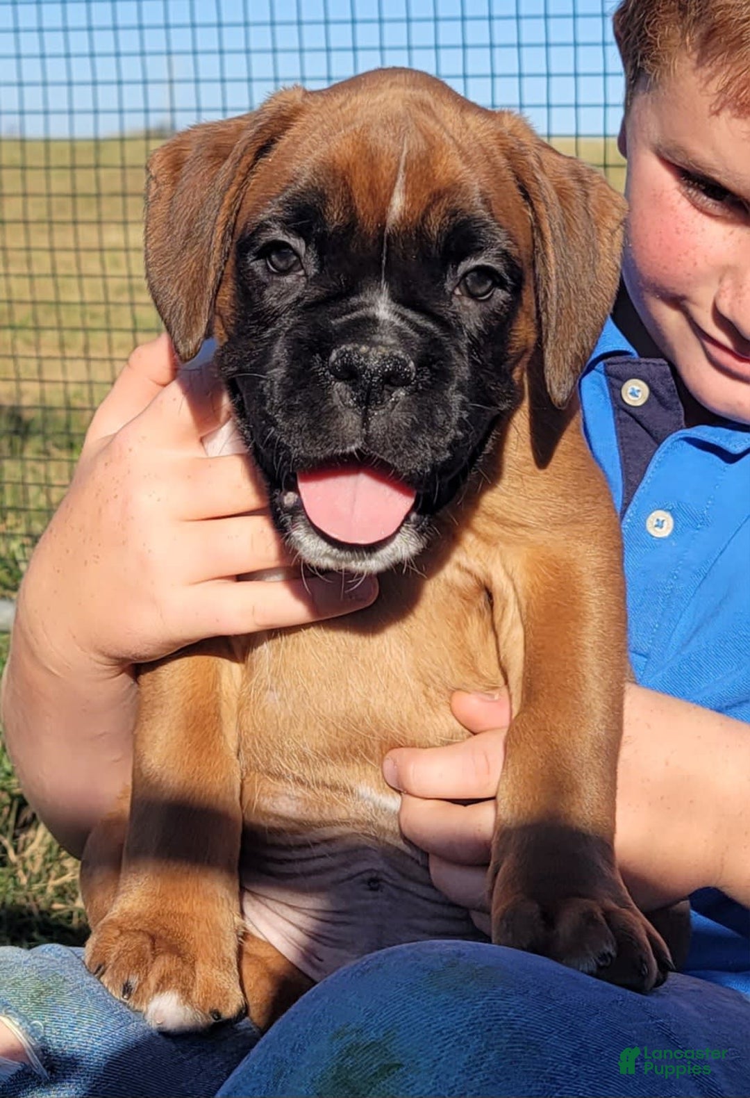 Gallery Image {{count}}