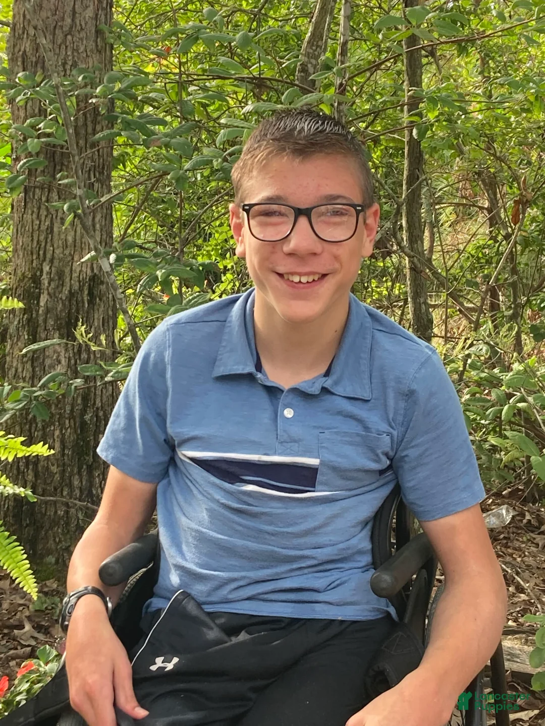 Gallery Image {{count}}